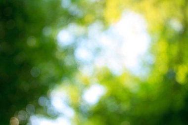 arka planı için renk bulanıklık