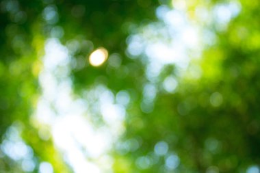 arka planı için renk bulanıklık