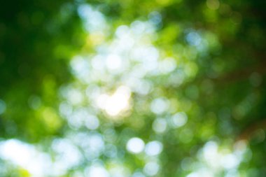 arka planı için renk bulanıklık