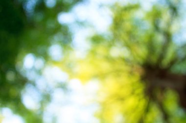 arka planı için renk bulanıklık