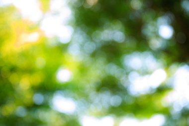 arka planı için renk bulanıklık