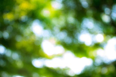 arka planı için renk bulanıklık