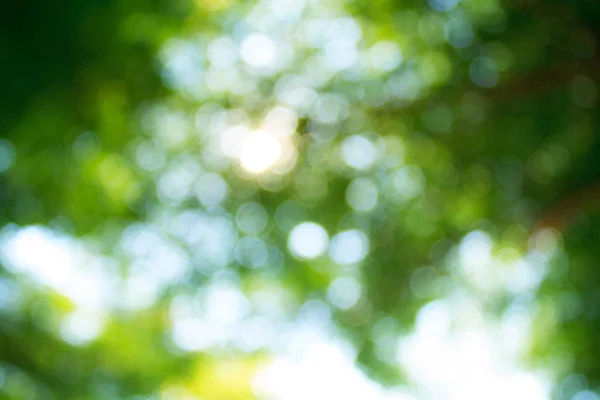 arka planı için renk bulanıklık