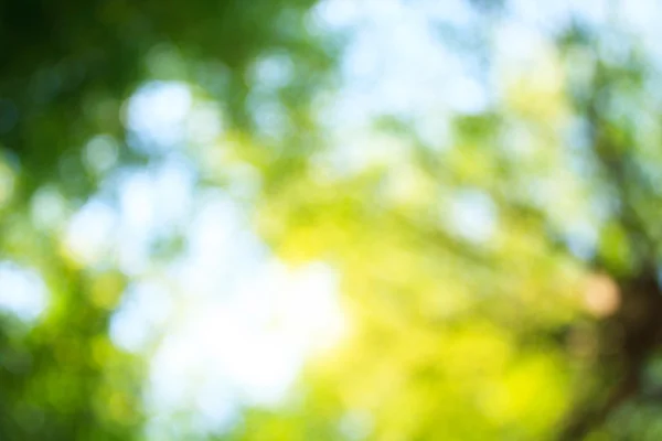 arka planı için renk bulanıklık