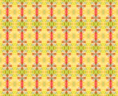 güzel seamless modeli