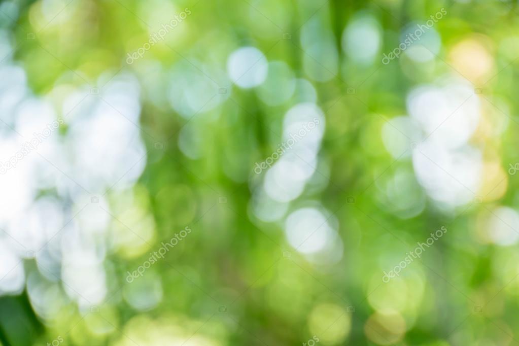 abstract blur green for background