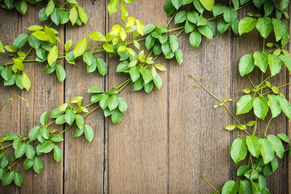 antika arka plan için güzel doğal