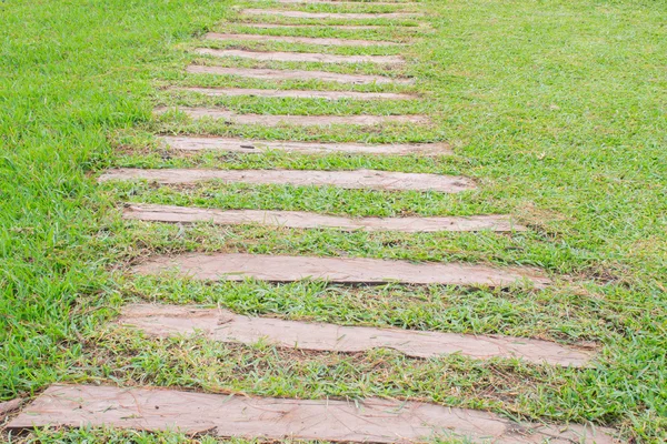 Mow the grass at walkway and the front yard — Stock Photo, Image