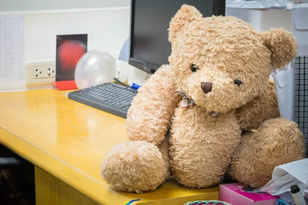 oyuncak ayılar ofis masasında bakimi