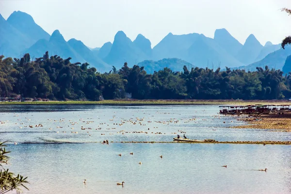 Cena de vida selvagem na China Central Pássaros no rio — Fotografia de Stock