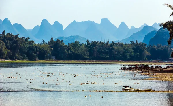 Scène animalière en Chine centrale Oiseaux sur la rivière — Photo