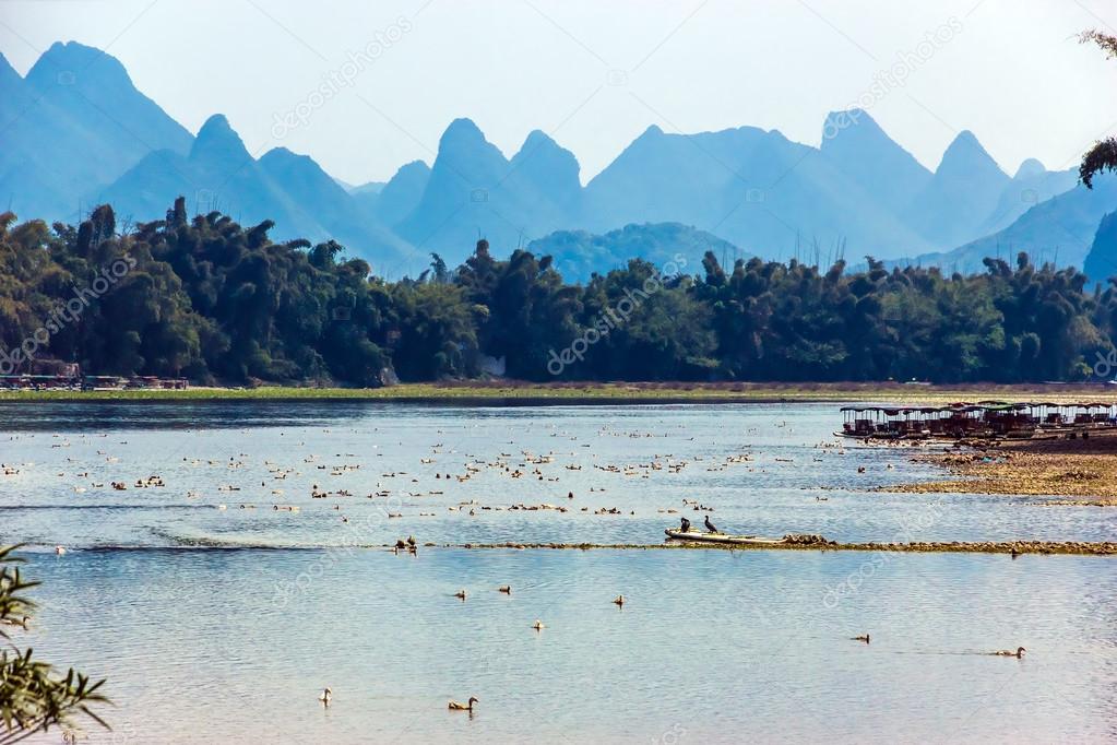 Wildlife Scene in Central China Birds on River