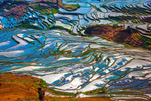 Görünüm pirinç taşkın alanlarında güneşli gün sezon. — Stok fotoğraf