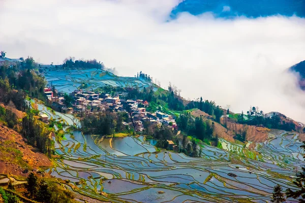 Village in South China with traditional Houses and Rice Terraces — Stock Photo, Image