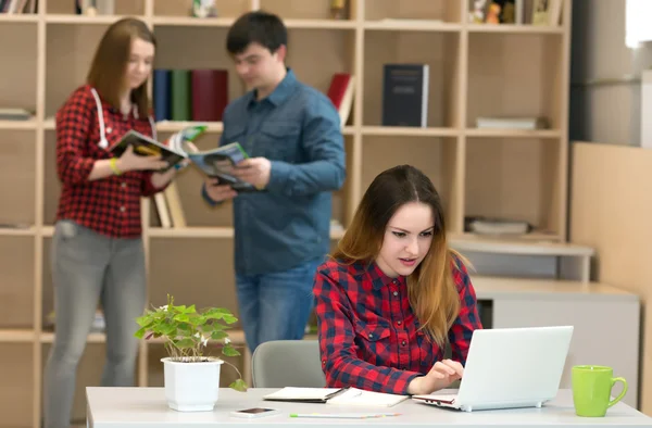 Jovem mulher trabalhando no laptop outras pessoas interagindo no fundo — Fotografia de Stock