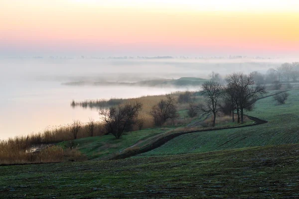 Idilli vidéki reggel táj mezőgazdaság mező köd napkelte — Stock Fotó