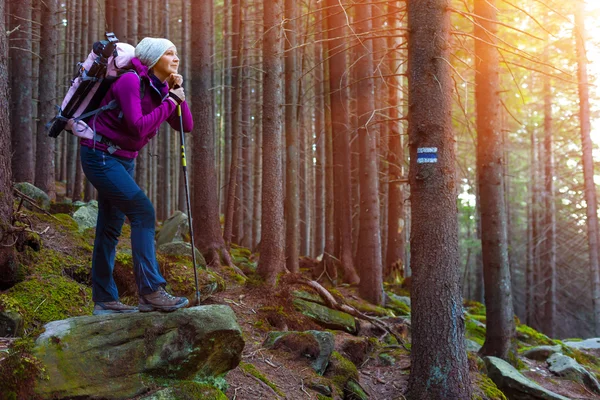 Senderista femenina pensativa alojándose en el profundo bosque viejo — Foto de Stock