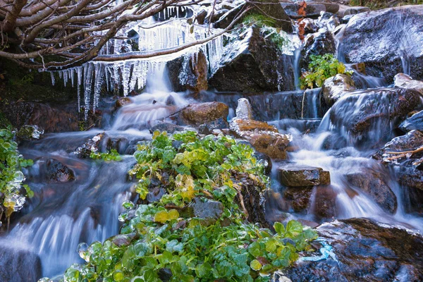 Швидке гірський струмок і заморожених бурульки — стокове фото