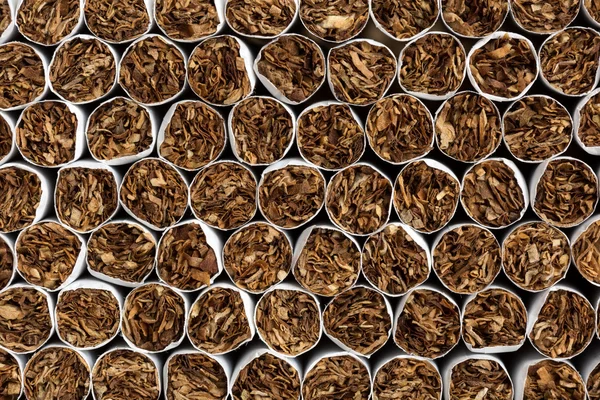 Heap of Tobacco Cigarettes Front View close up — Stock Photo, Image