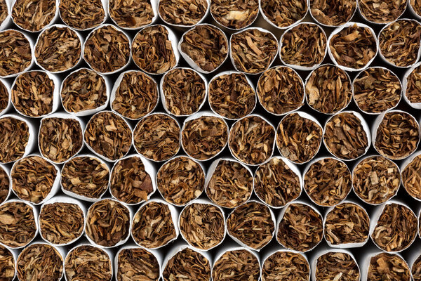 Heap of Tobacco Cigarettes Front View close up