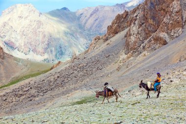 Uzak Asya dağ alan karavanda eşek