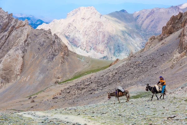 Donkey caravan in remote Asian mountain area — Stock Photo, Image