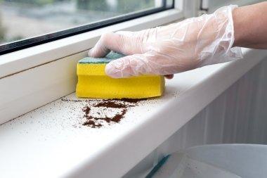 Ofis Temizleme kavram insan eli pencere pervazına Temizleme