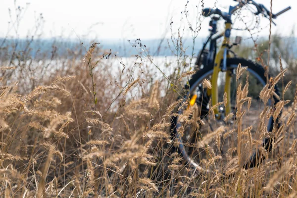 Gelbes herbstliches Gras und Fahrrad — Stockfoto