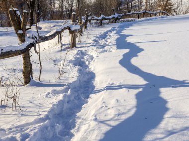 Kuzey kırsal kış sahne