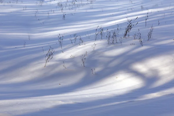 Lumière et ombre sur la neige — Photo