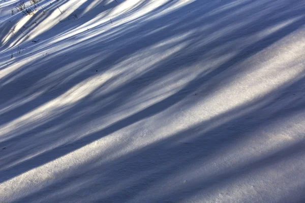 Свет и тень на снегу — стоковое фото