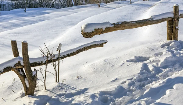Északi vidéki téli táj — Stock Fotó