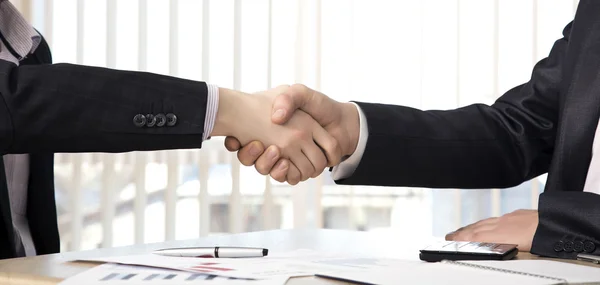 Stretta di mano di partner commerciali — Foto Stock