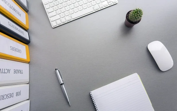 Espace de travail sur bureau gris avec cactus et dossiers — Photo