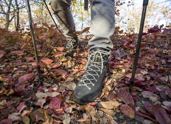 Imagem de close-up de pés de mochileiro vestido com botas de trekking pesado — Fotografia de Stock