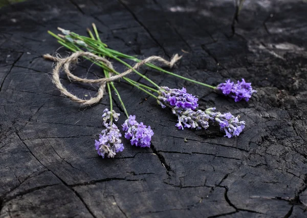 Lavender flowers on dark wooden stock — Stock Photo, Image