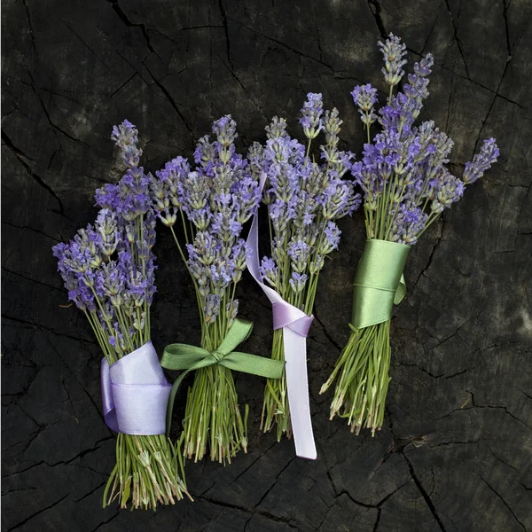 Lavender bunches — Stock Photo, Image