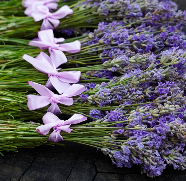 Rural harvest of lavender flowers — Stock Photo, Image