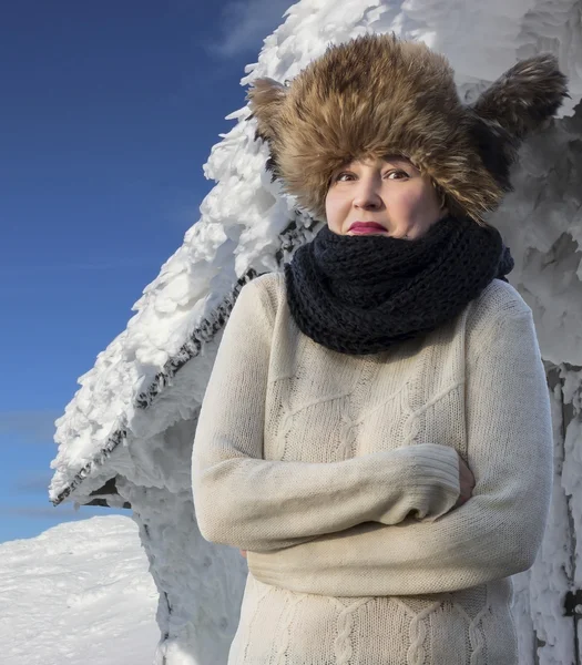 Får kalla! — Stockfoto