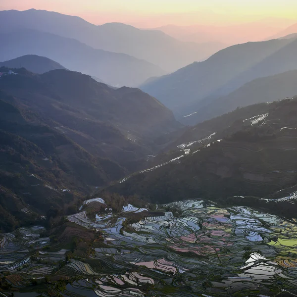 Flooded rice fields in South China — Stock Photo, Image