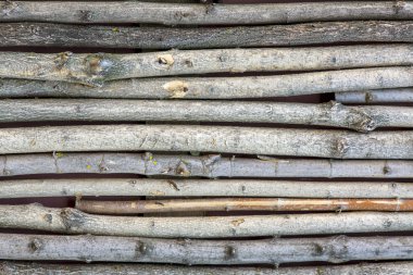 Paling made of many tree trunks of variety wood type