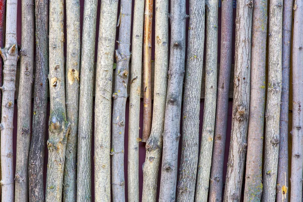 Paling made of many tree trunks of variety wood type — Φωτογραφία Αρχείου