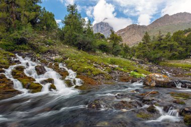 Mountain creeks fast moving