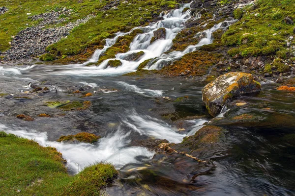 Mountain stream and meadow — Stockfoto