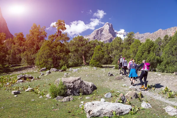 Grup vahşi içine yürüyüş yürüyüşçü — Stok fotoğraf