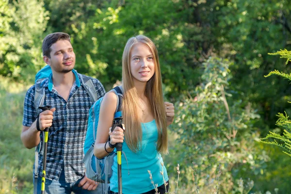 Excited Travelers Front View Walking Up on Trail — Stok fotoğraf