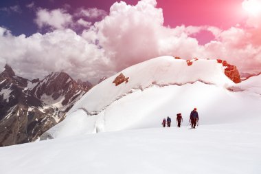 Group of Mountaineers Walking on Ice Field