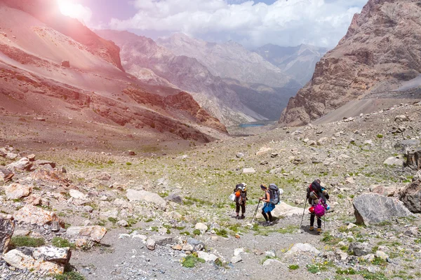 Group of Hikers Walking into Wilderness — Stock Photo, Image