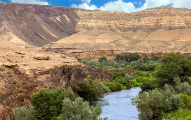 Orta Asya kayalık çölde vaha görünümü
