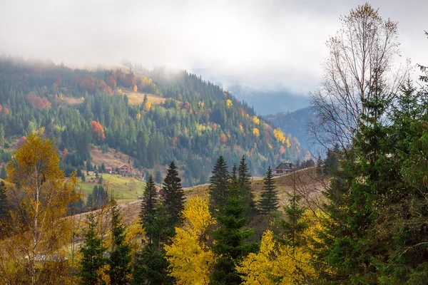 Paisaje estacional del bosque mixto otoñal — Foto de Stock